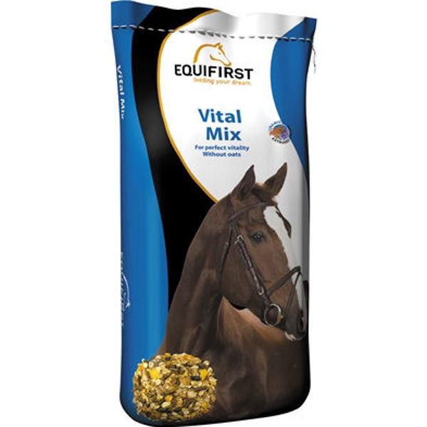 Equifirst Vital mix