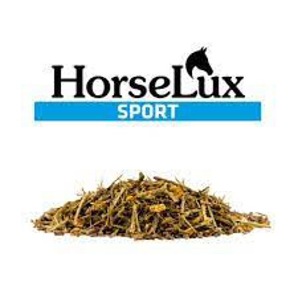 HorseLux Sport