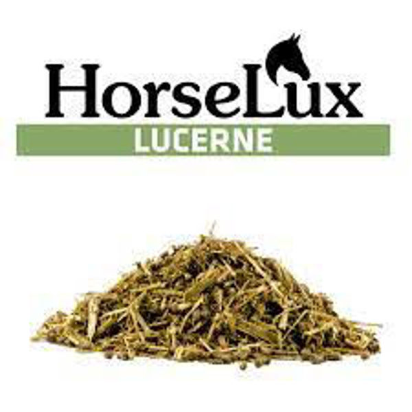 HorseLux Lucerne